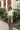 Arabelle Taupe Satin Wide Leg Pants - full body front view