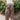 Arabelle Taupe Satin Wide Leg Pants - lower body front view