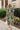 Corinne Olive Floral Midi Dress - full body back