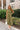 Carolina Olive Zip Front Midi Dress - full body front view