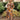 Adalyn Brown Multi Floral Midi Dress- full body view