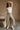 Camila Washed Olive Wide Leg Pants- full body view