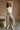 Camila Washed Olive Wide Leg Pants- full body view