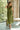 Ashley Olive Green Tie Waist Midi Dress- front full view