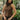 Emmy Brown Satin Halter Top - front view
