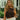 Mandy Brown Gold Detail Top - front view