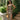 Bonnie Black & Brown Plaid Sleeveless Maxi Dress - full body front view 
