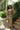 Bonnie Black & Brown Plaid Sleeveless Maxi Dress - full body front view 