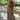 Janie Brown Polka Dot Midi Dress - full body front view