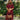 Raquel Burgundy & Lace Maxi Dress - full body front view