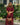 Raquel Burgundy & Lace Maxi Dress - full body front view