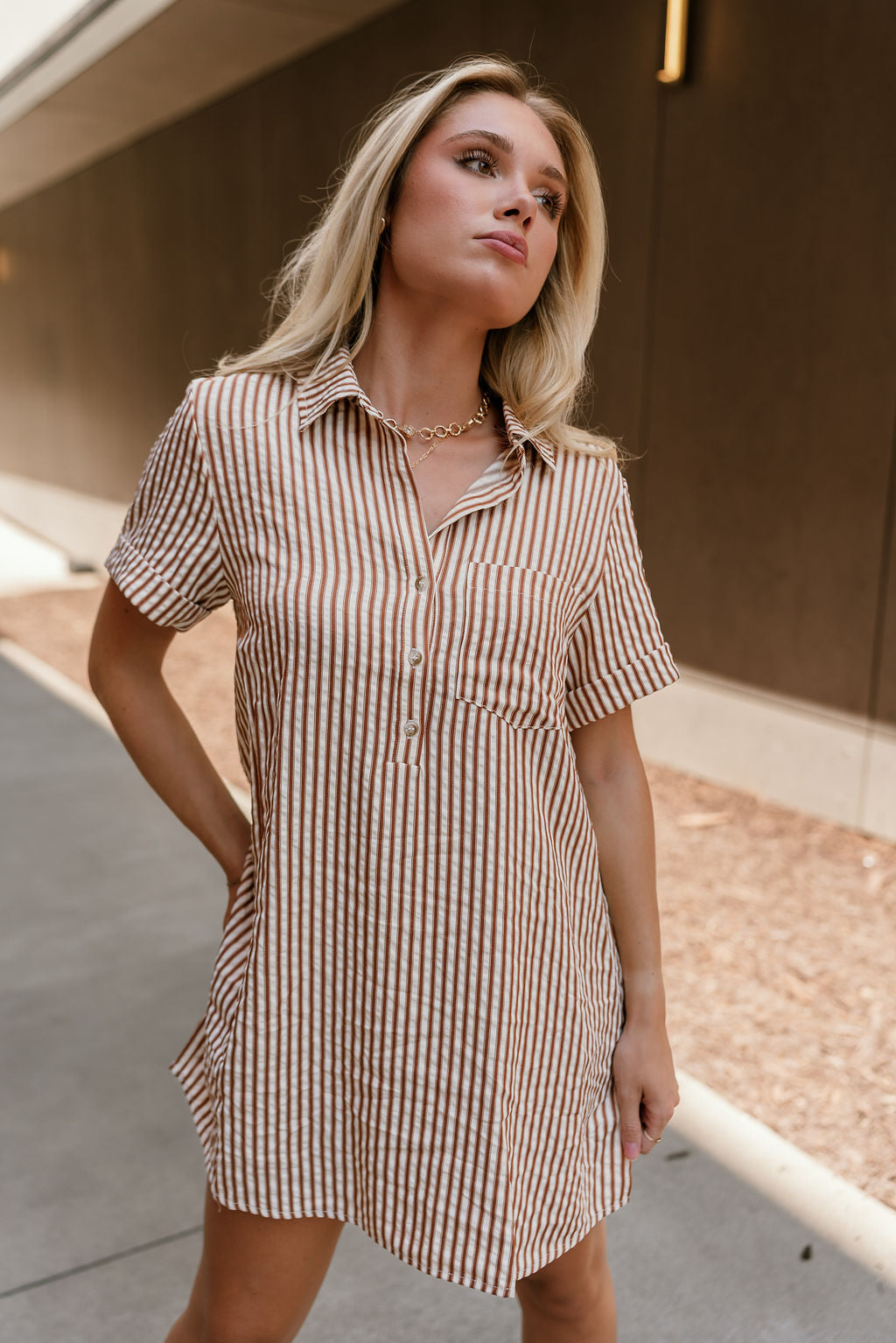 Carrie Brown & Cream Striped Mini Dress - front