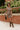 Amelia Brown Plaid Skort - full front view