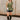 Gia Olive & Gold Zip-Up Flare Tank- full body view
