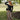 Kiley Black Off-The-Shoulder Top - full body front view
