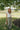 Kerrington Olive Striped Wrap Pants - full body