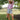 Penelope Light Purple Cardigan - full body front view