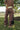 Nessa Brown Studded Barrel Leg Jeans - back view