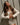 Candice Cream Tie Front Cardigan - front view