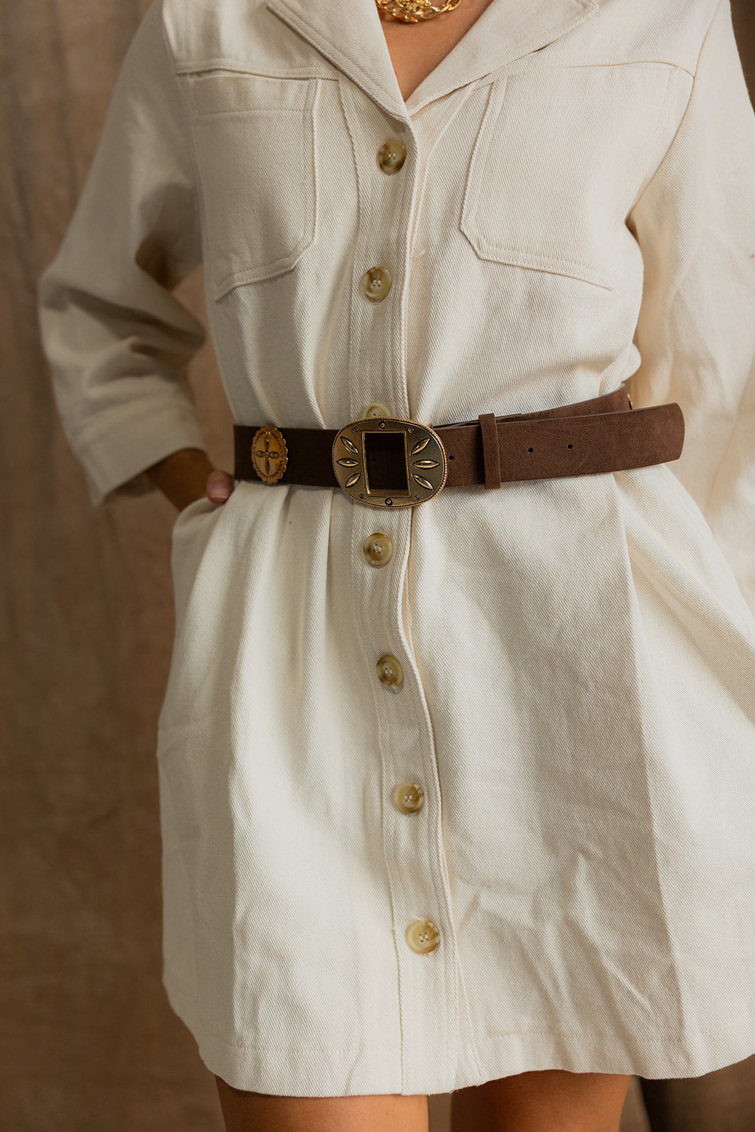 Palmer Brown & Gold Suede Western Belt- front view