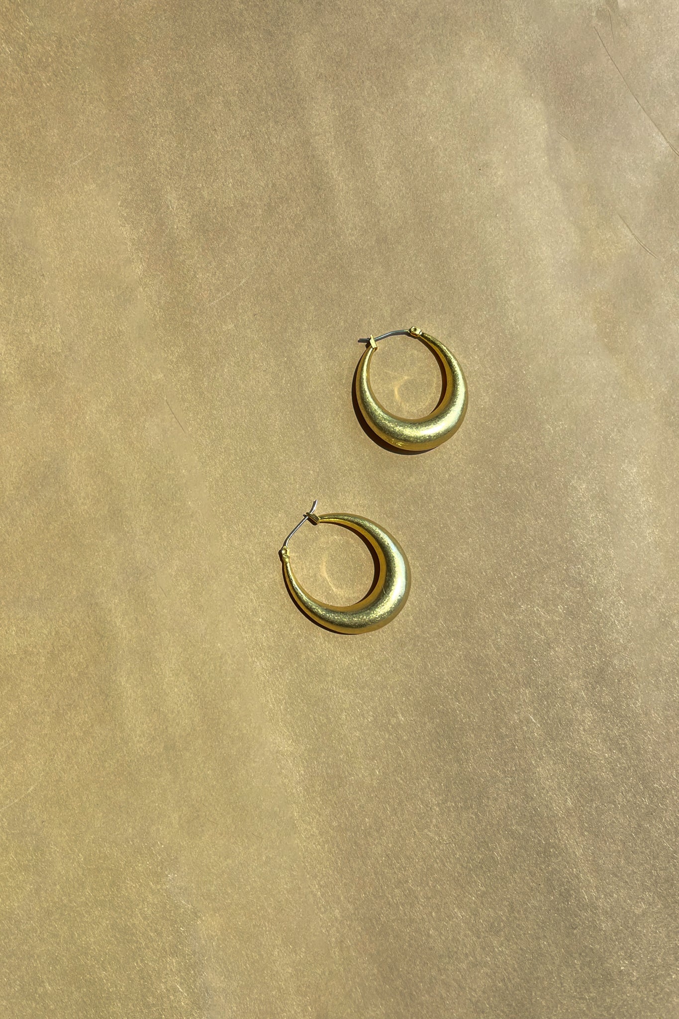 Ella Brushed Gold Closed Hoop Earring- full view