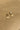 Jessa Gold Beaded & Straw Earrings - close flat lay top view