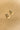 Jessa Gold Beaded & Straw Earrings - flat lay top 