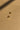 Eliza Gold Filled Mini Scoop Earring- flay lay view