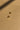 Eliza Gold Filled Mini Scoop Earring- flay lay view