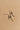 Ayla Gold & Pearl Charm Huggie Dangle Earring- flat lay view