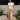 Giselle Olive Wide Leg Pants - full body front view