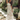 Camila White Multi Seashell Midi Dress- full body view