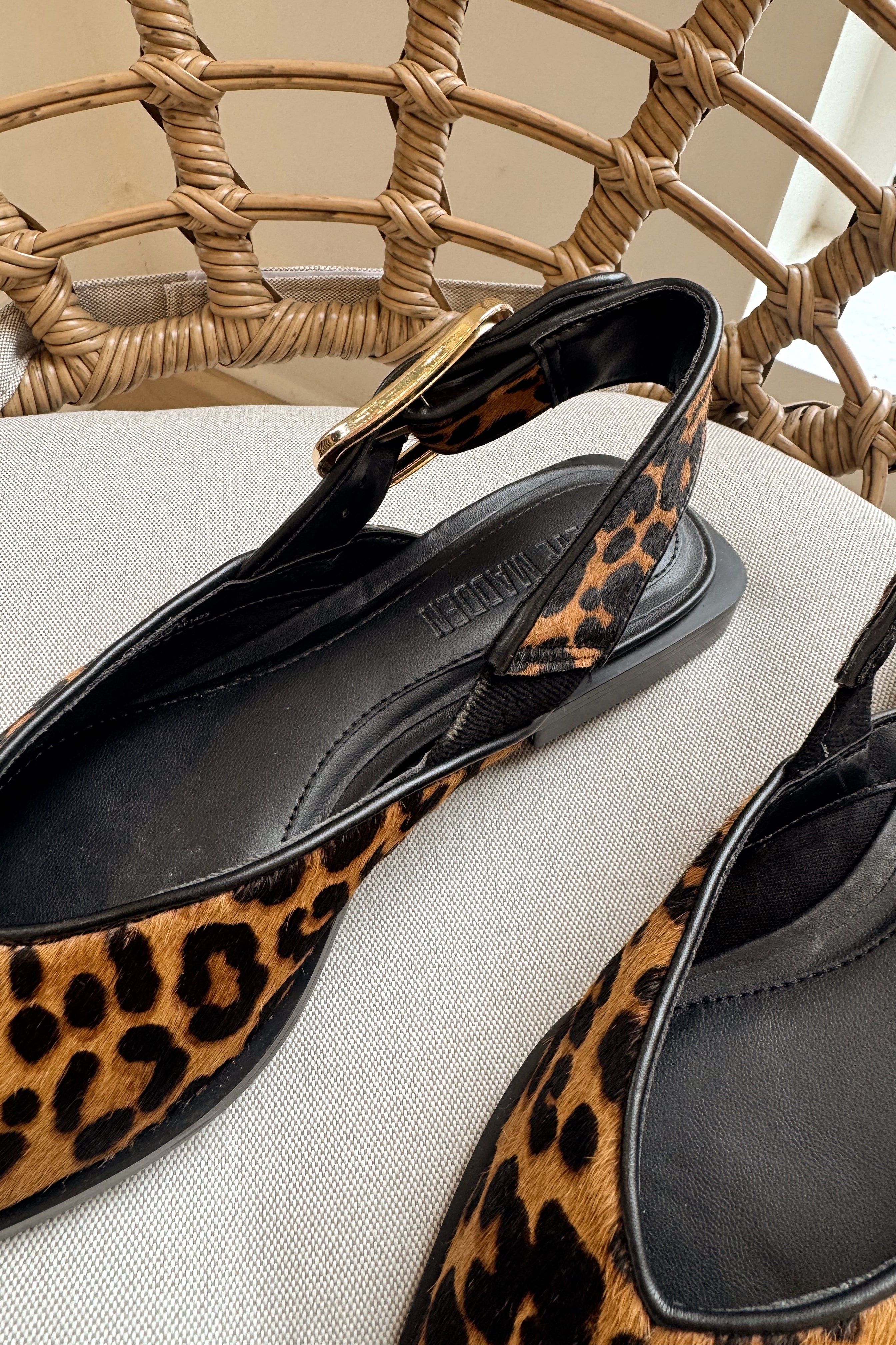 Steve Madden Shay Leopard Pointed Toe Flat- close up top view