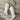 Samara White Western Tall Boot - flat lay view