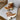 Sorel Joan Frwd Cozy Tawny Buff & Honey White Waterproof Boot - flat lay view