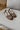 Dirty Laundry Trackstar Leopard Sneaker- frontal top view