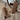 Shiloh Latte Suede Knee High Boot- front lay view