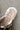 Harlah Chocolate Leather Plush Flats- top heel view