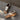 Steve Madden Dodge Espresso Multi Platform Sneaker- flat lay view