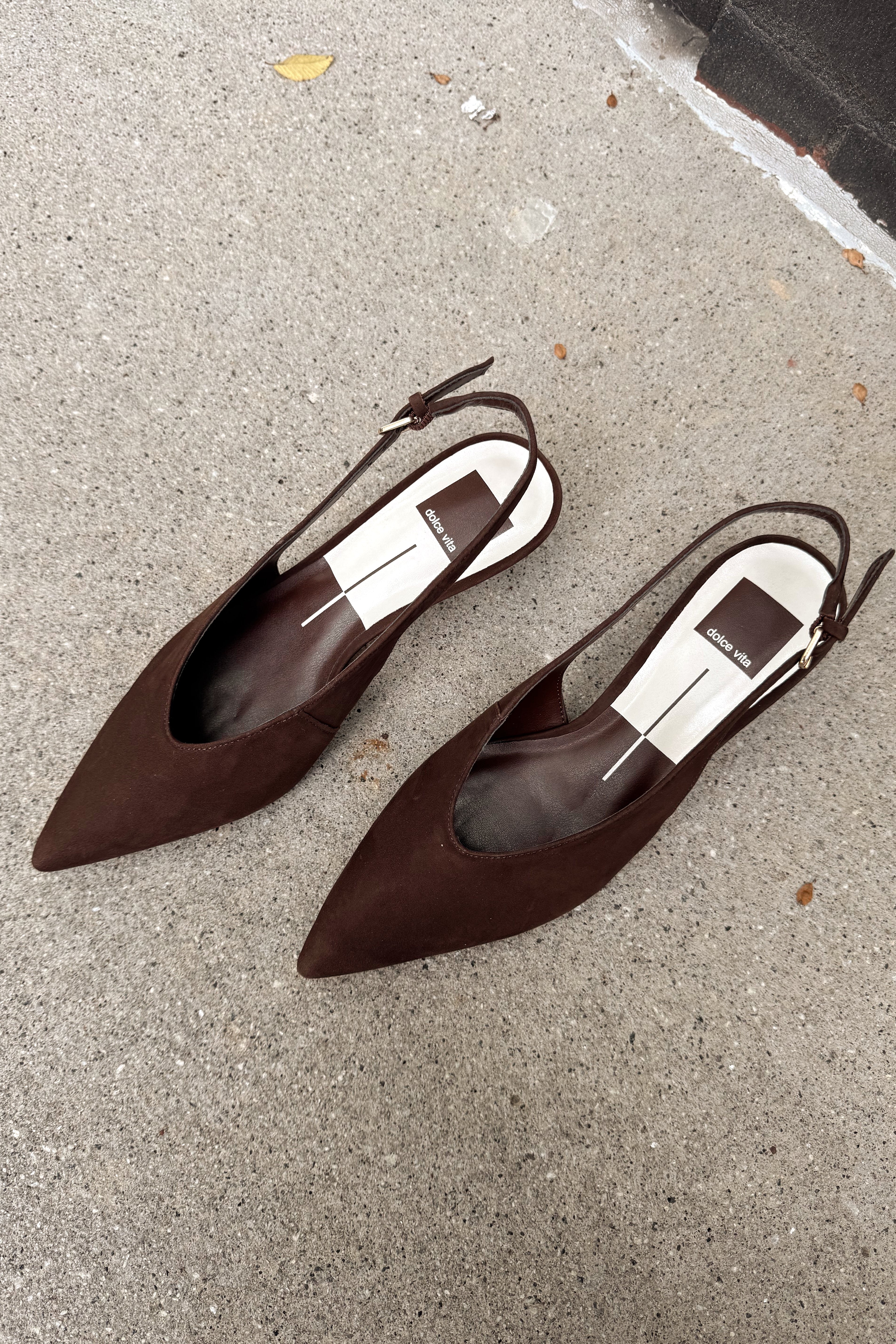 Dolce Vita Alenna Dark Brown Suede Heel - front view