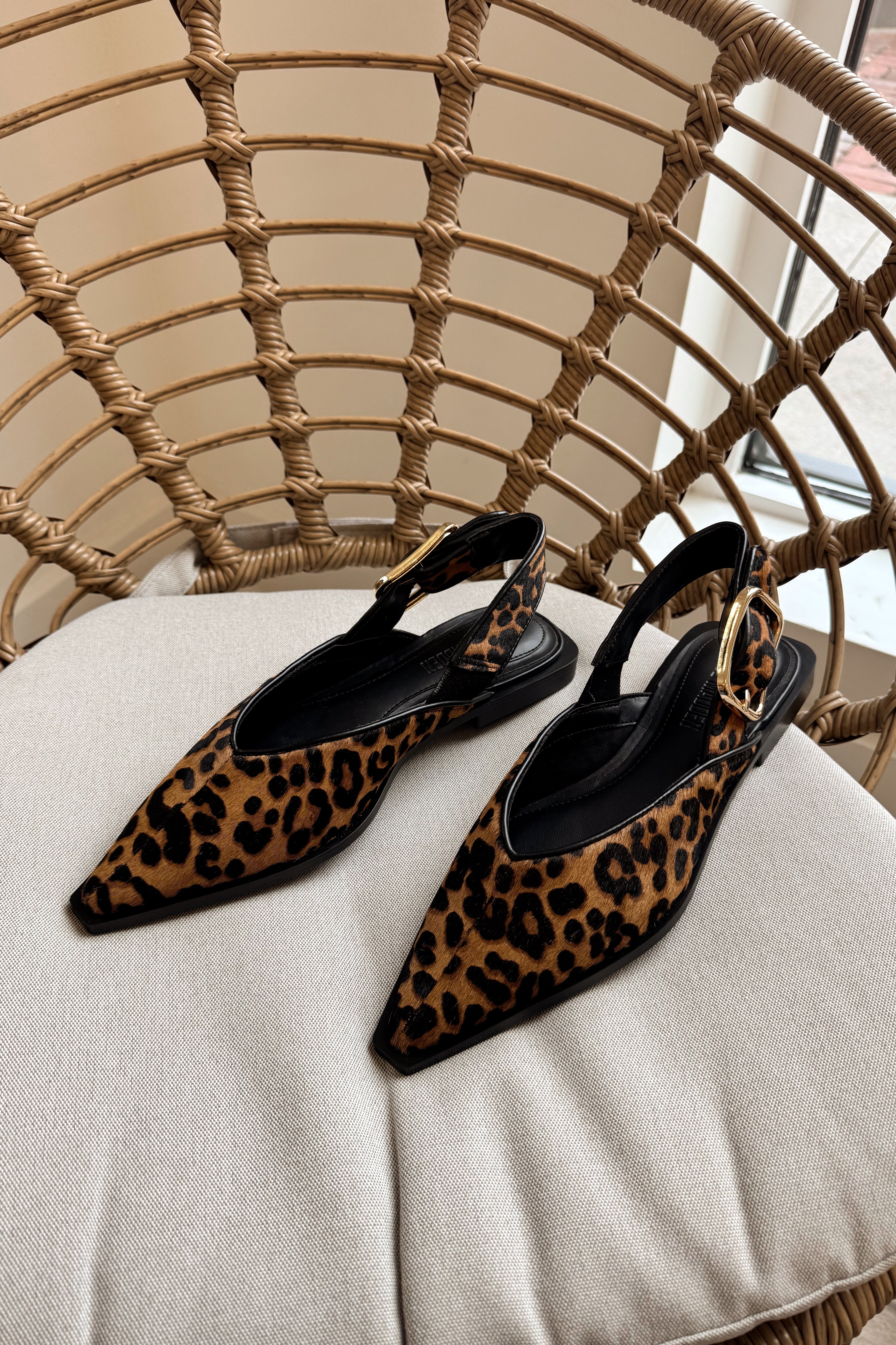 Steve Madden Shay Leopard Pointed Toe Flat- full side view