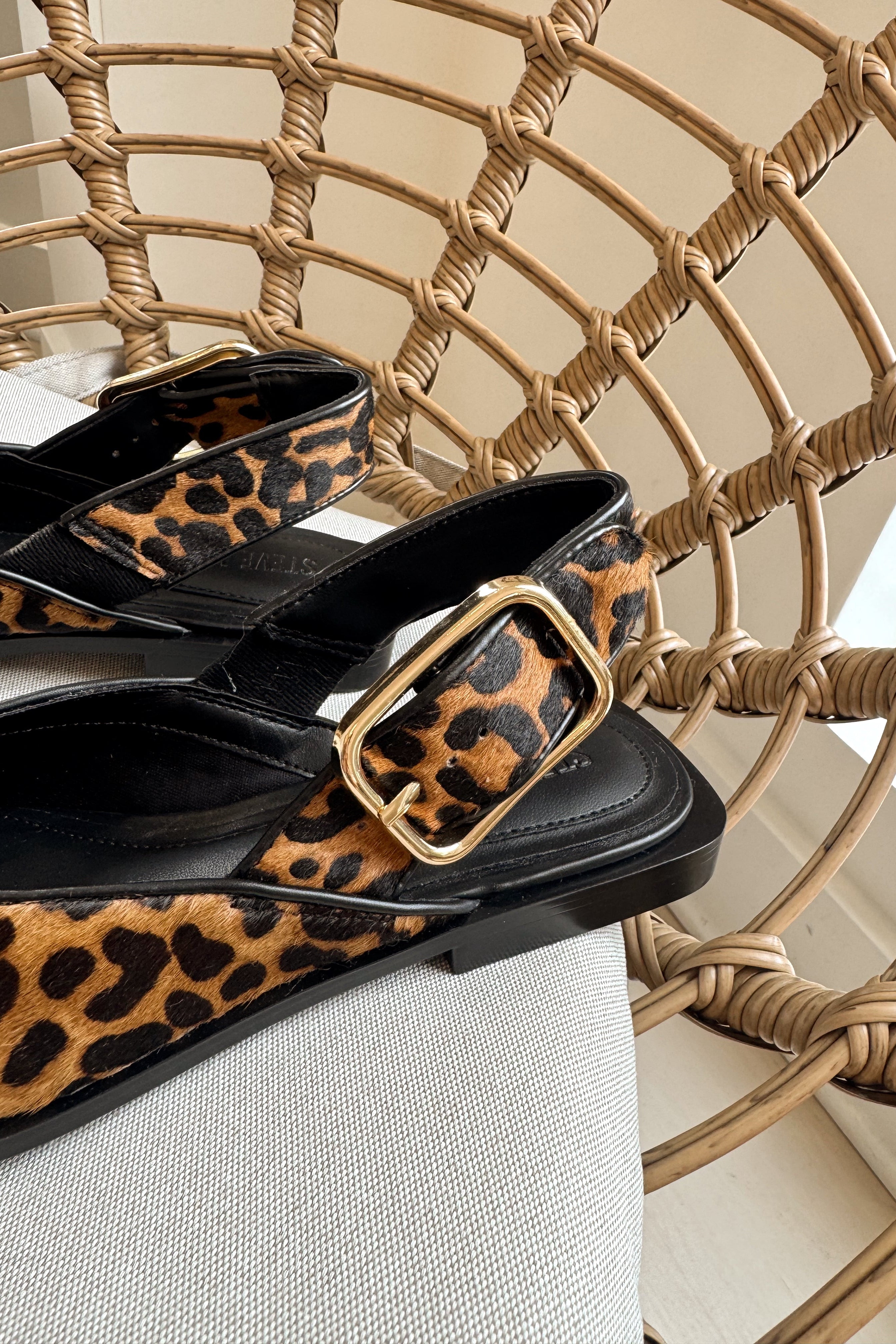 Steve Madden Shay Leopard Pointed Toe Flat- close up ankle view