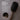 Teleties boar bristle brush with tortoiseshell handle on a gray background and text about features