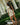 dresses_-_model_wearing_white_dress