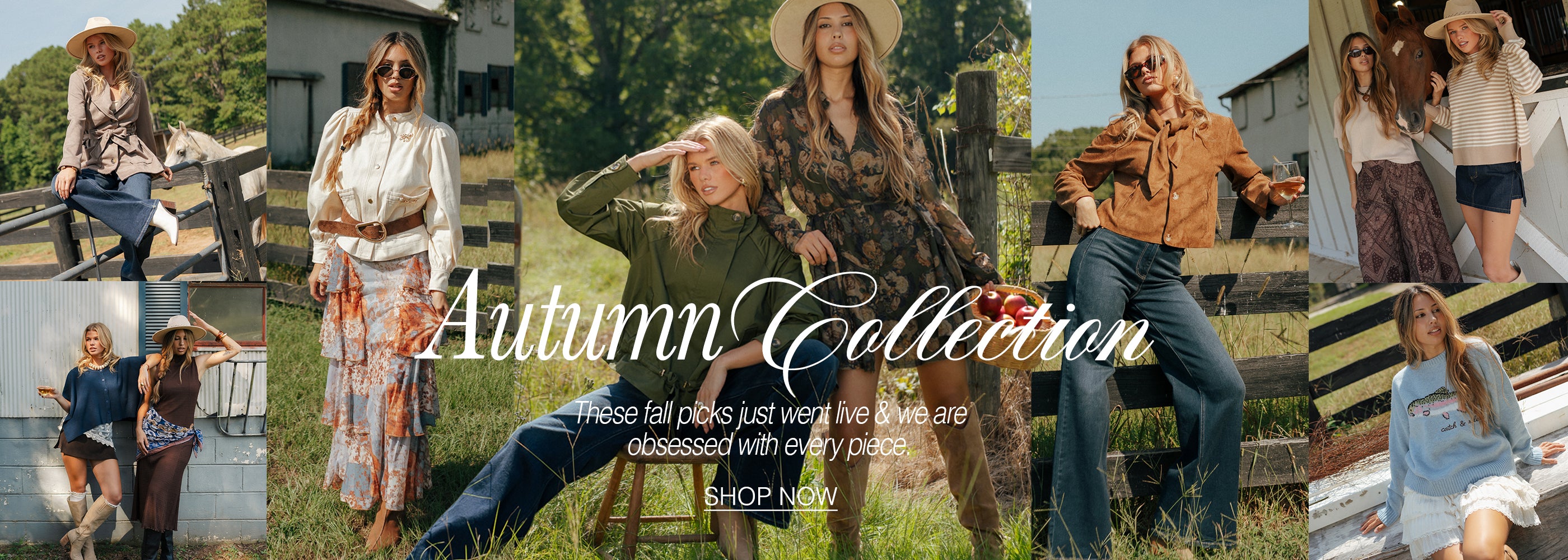 autumn collection. shop now