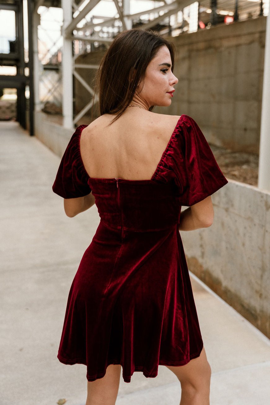 Jordyn Burgundy Velvet MIni Dress- back view