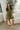 Danna Olive & Cream Zip-Up Mini Dress- full body view
