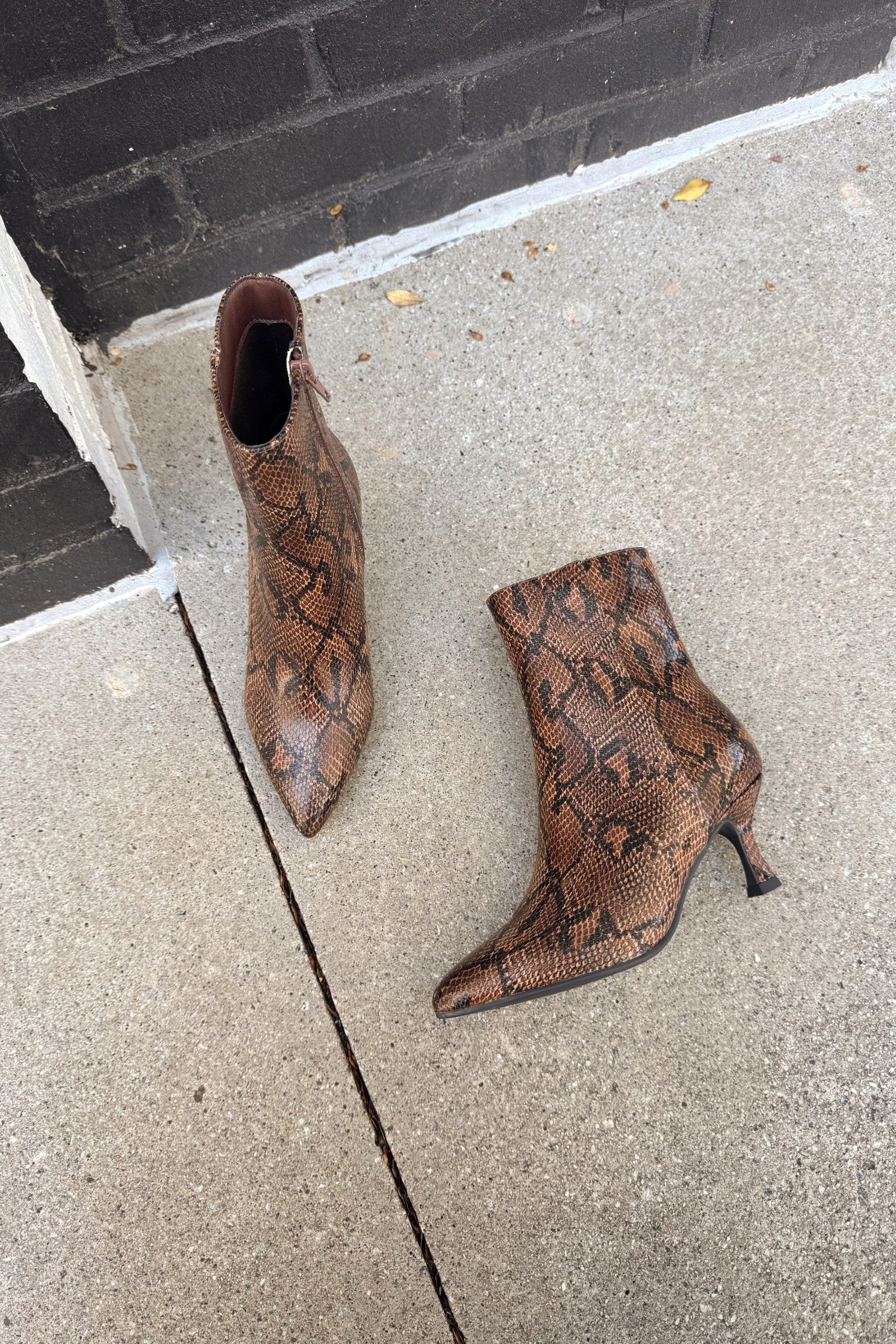 Mia Ediva Brown Snake Pointed Toe Boot- flat lay view