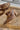 Hey Girl by Corkys Not Gonna Happen Cognac Mule- close up side view