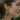 Close side view of model wearing the Hopeless Romantic Earrings that feature open gold teardrops with blue floral stones.